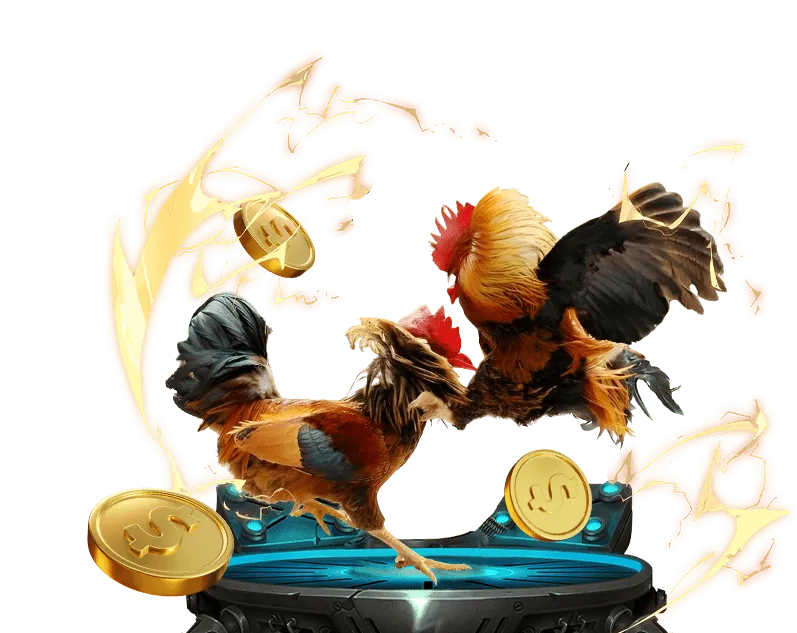 Giao diện tổng quan nền tảng cá cược thể thao rk68